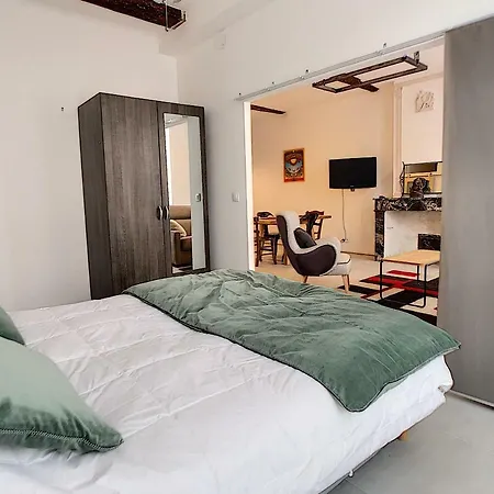 Le Canigou Lejlighed Céret